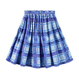 Brisali Checks Skirt
