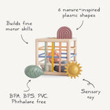 Elastic Shape Sorter details